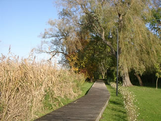 Gebr. Pfeil Garten- und Landschaftsbau GmbH